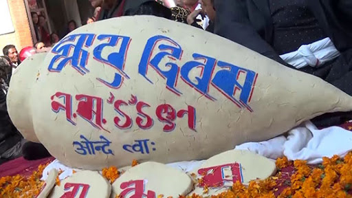 नेवार समुदायले आज धुमधामका साथ यःमरी पुन्ही पर्व मनाउँदै